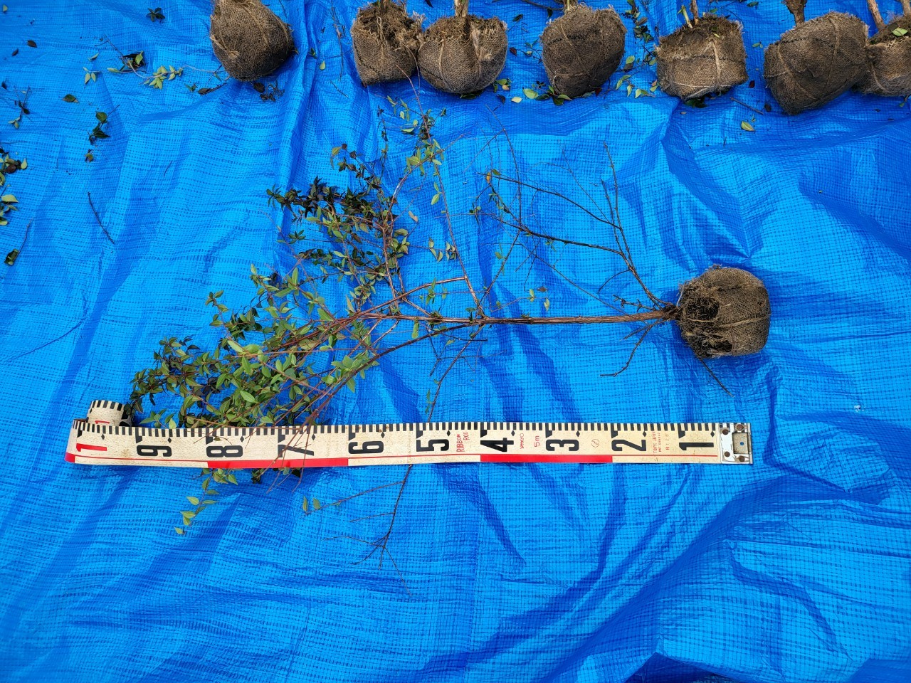 aqulle,ЃAN,GNXeA,OH