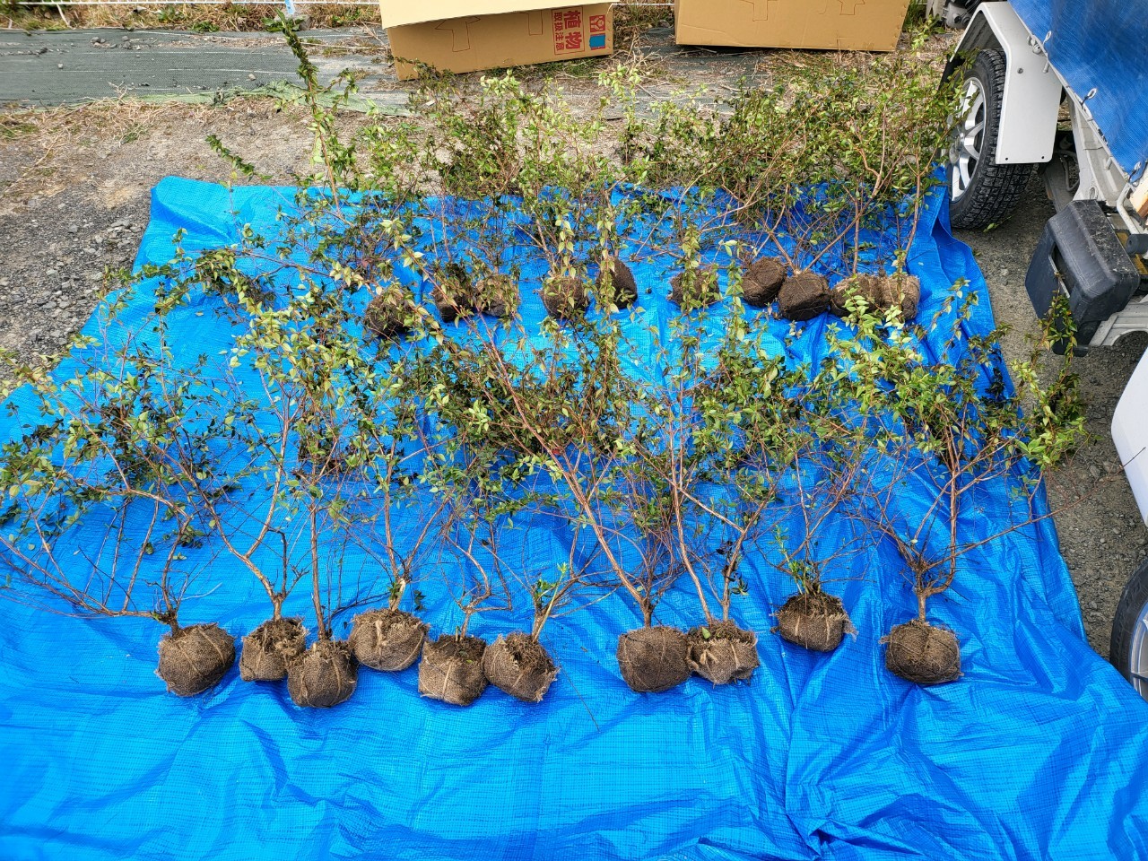 aqulle,ЃAN,GNXeA,OH