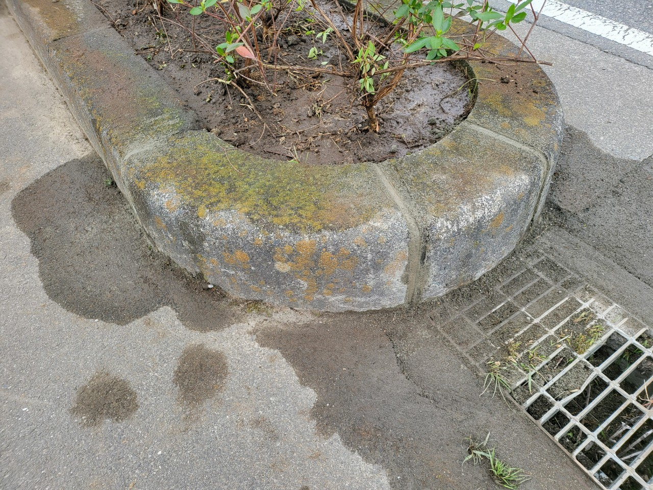 aqulle,ЃAN,GNXeA,OH