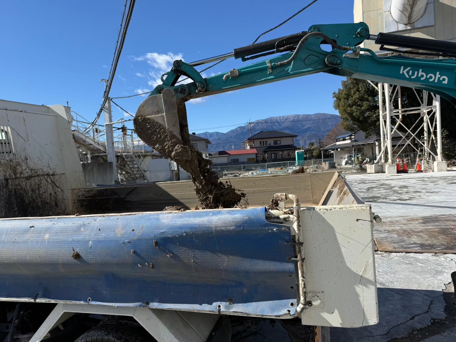 �������aqulle,������ЃA�N��,�G�N�X�e���A,�O��H��