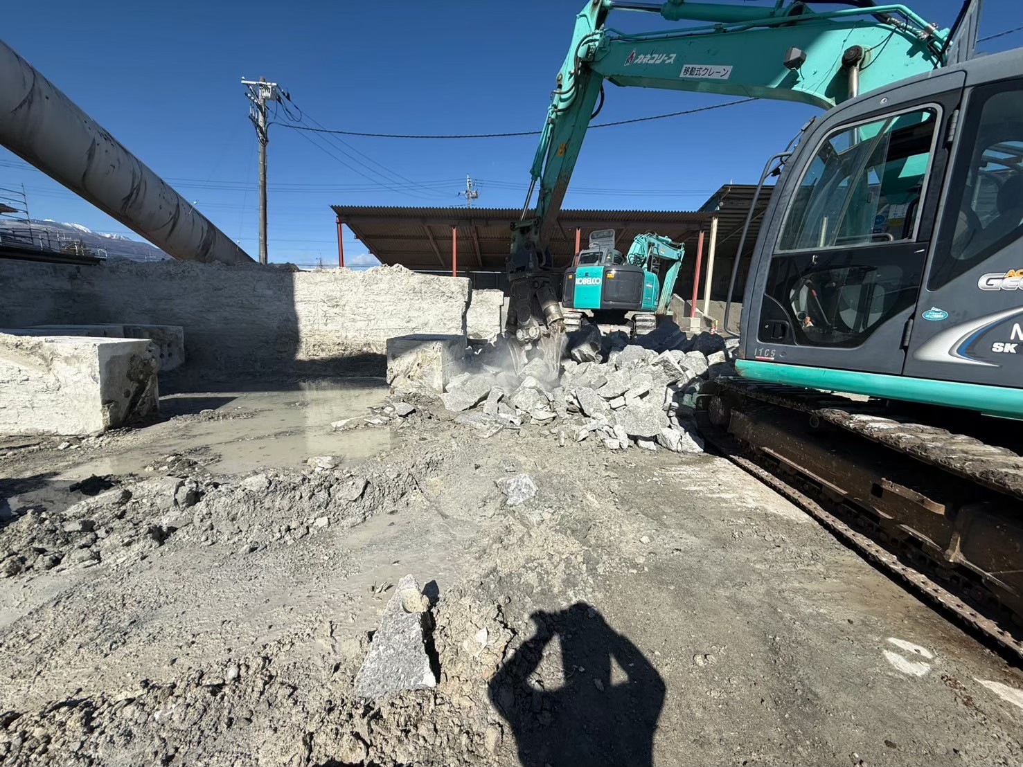 �������aqulle,������ЃA�N��,�G�N�X�e���A,�O��H��