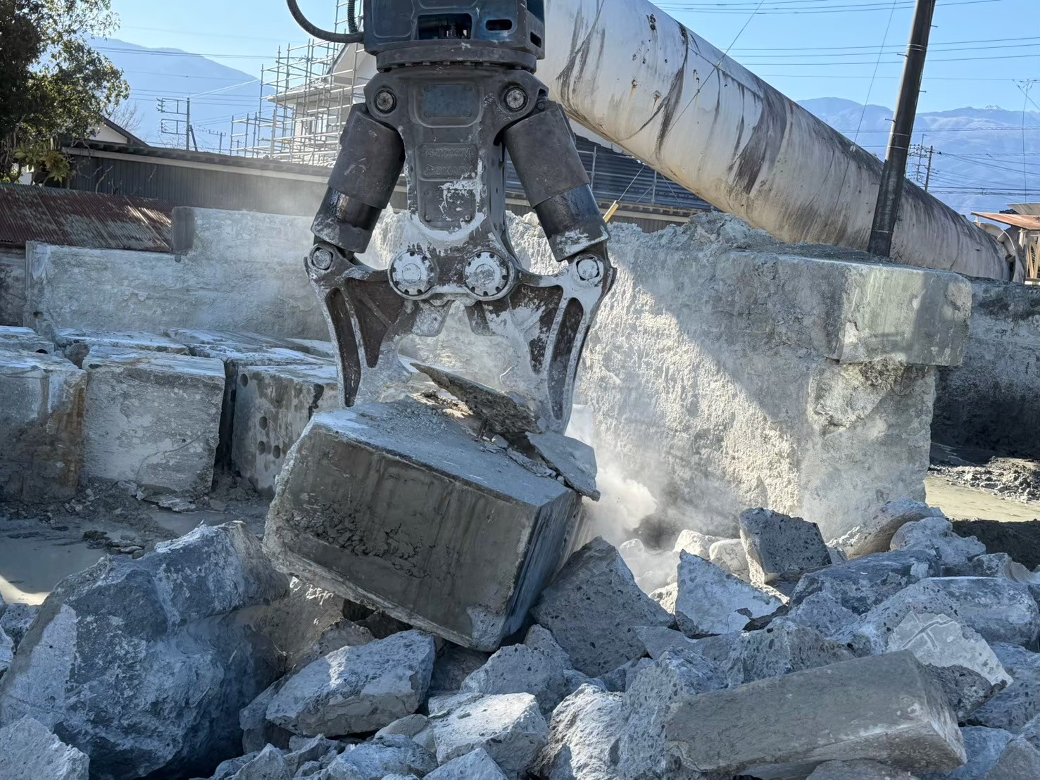 �������aqulle,������ЃA�N��,�G�N�X�e���A,�O��H��