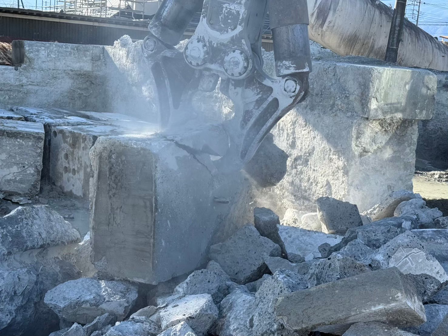 �������aqulle,������ЃA�N��,�G�N�X�e���A,�O��H��