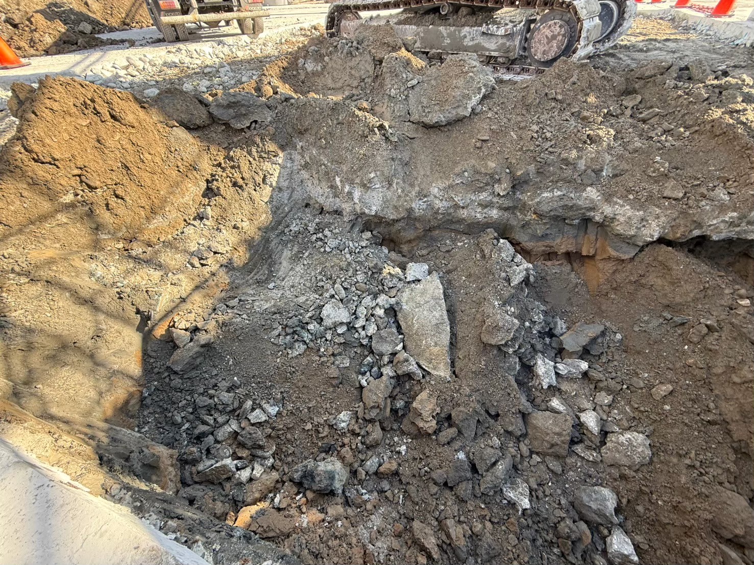 �������aqulle,������ЃA�N��,�G�N�X�e���A,�O��H��