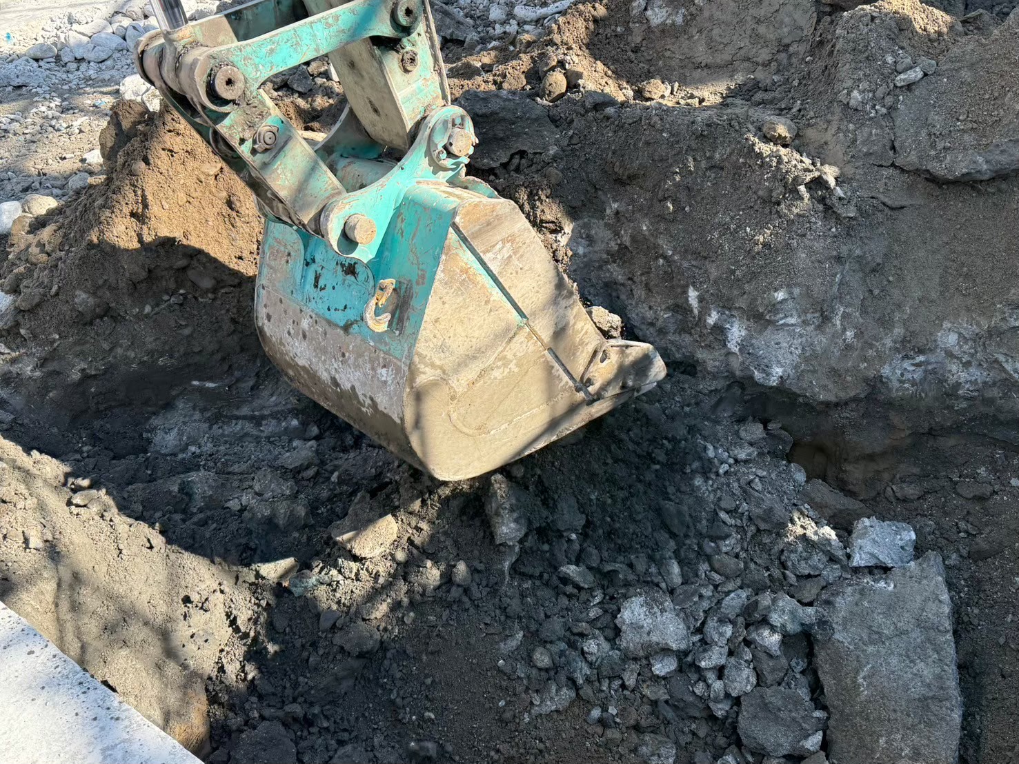 �������aqulle,������ЃA�N��,�G�N�X�e���A,�O��H��