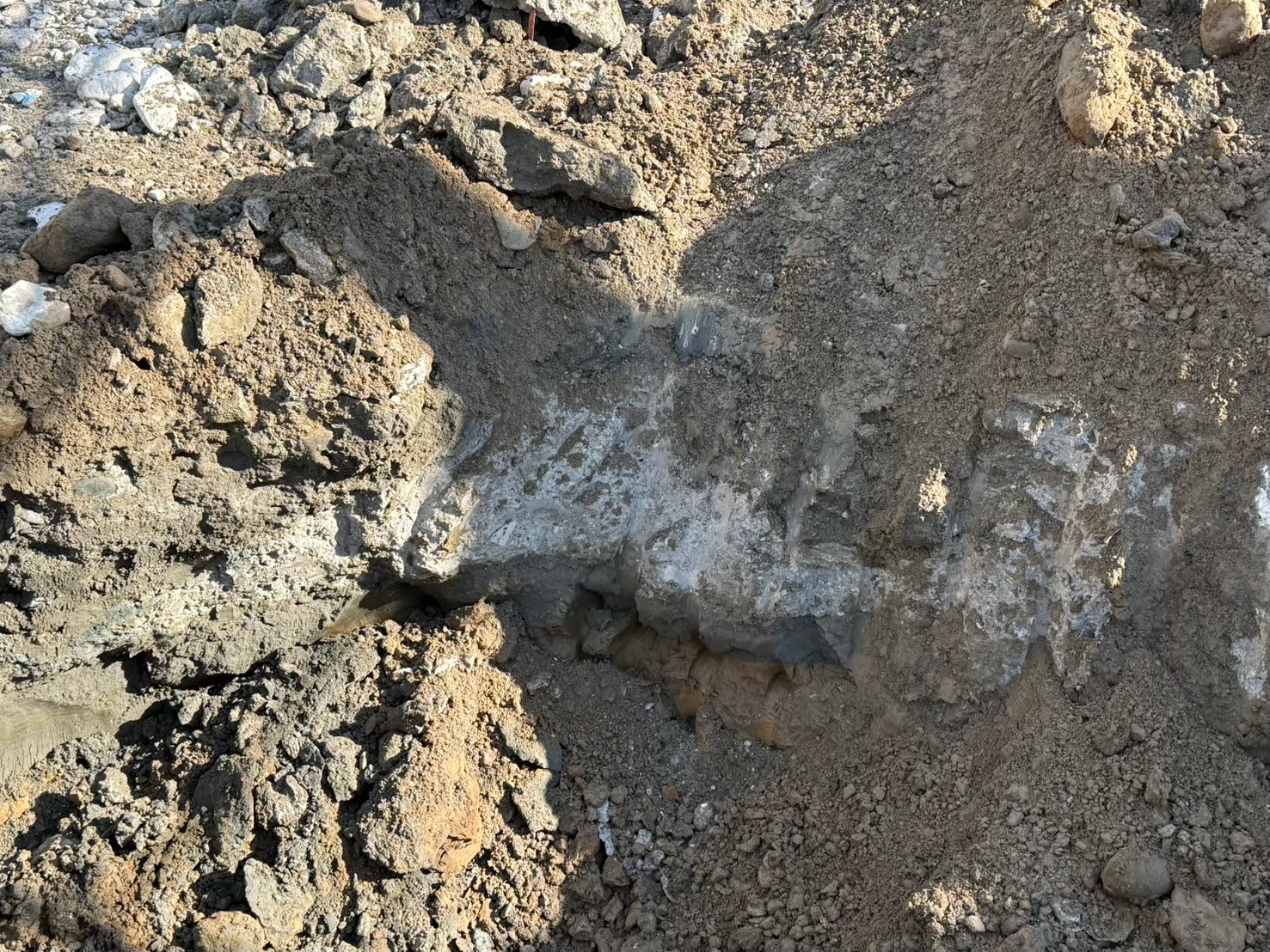 �������aqulle,������ЃA�N��,�G�N�X�e���A,�O��H��