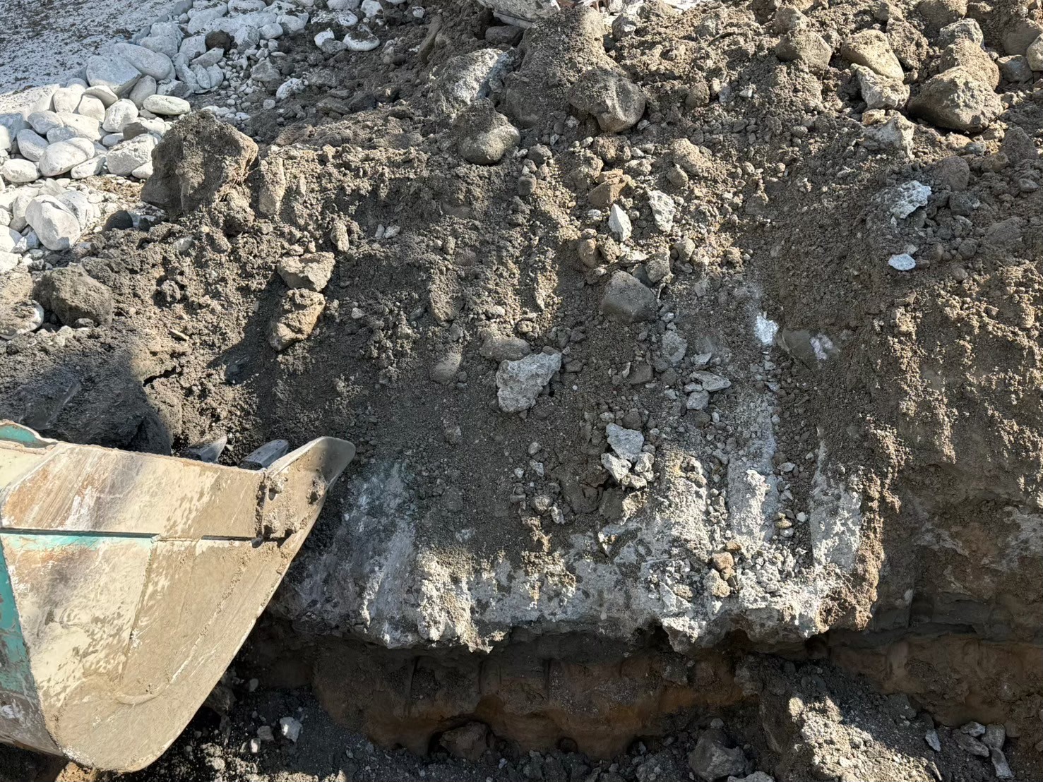 �������aqulle,������ЃA�N��,�G�N�X�e���A,�O��H��