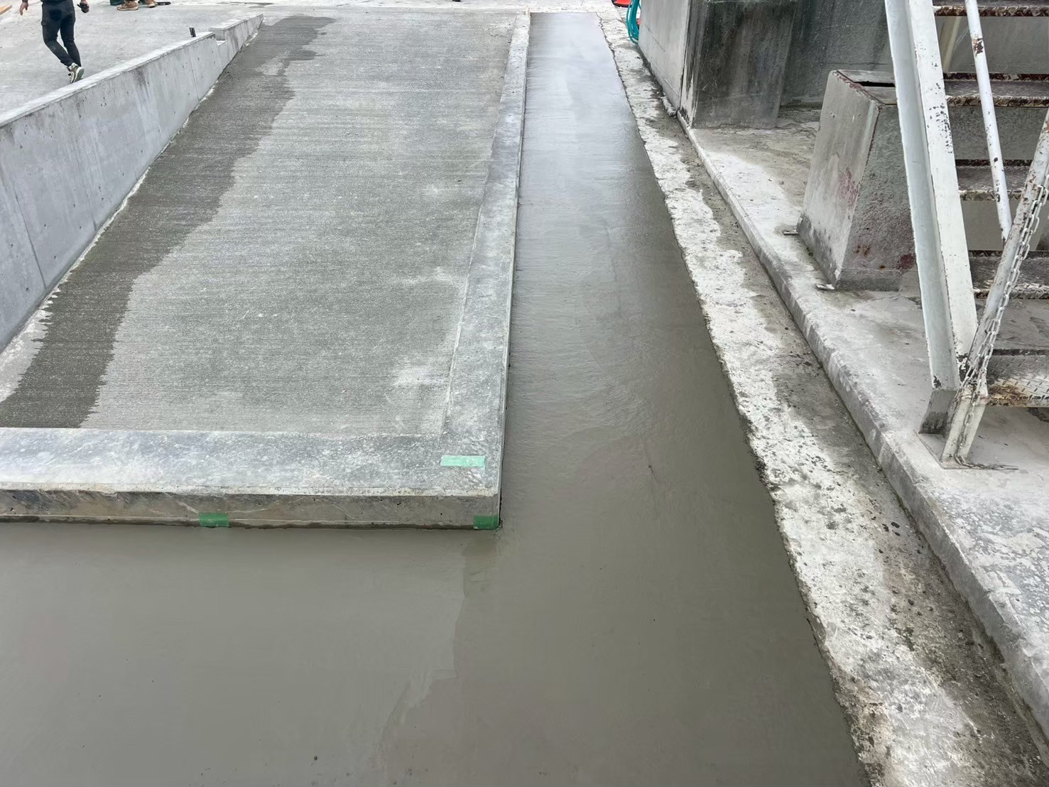 �������aqulle,������ЃA�N��,�G�N�X�e���A,�O��H��