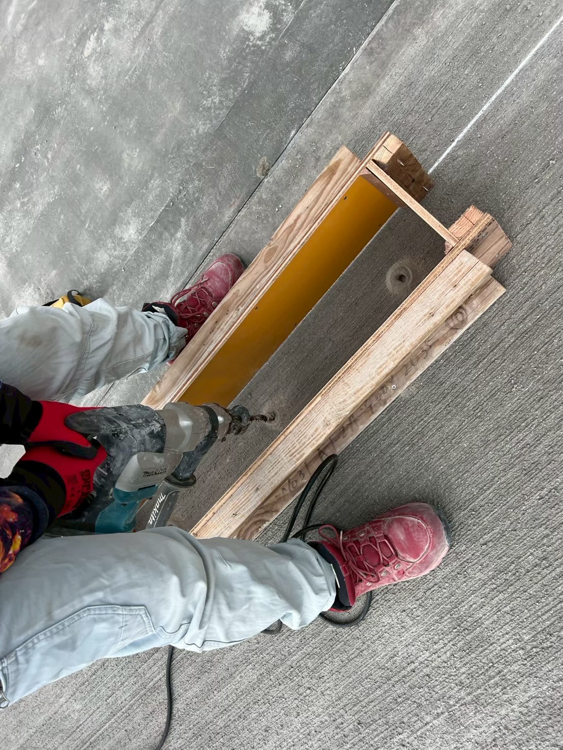 �������aqulle,������ЃA�N��,�G�N�X�e���A,�O��H��