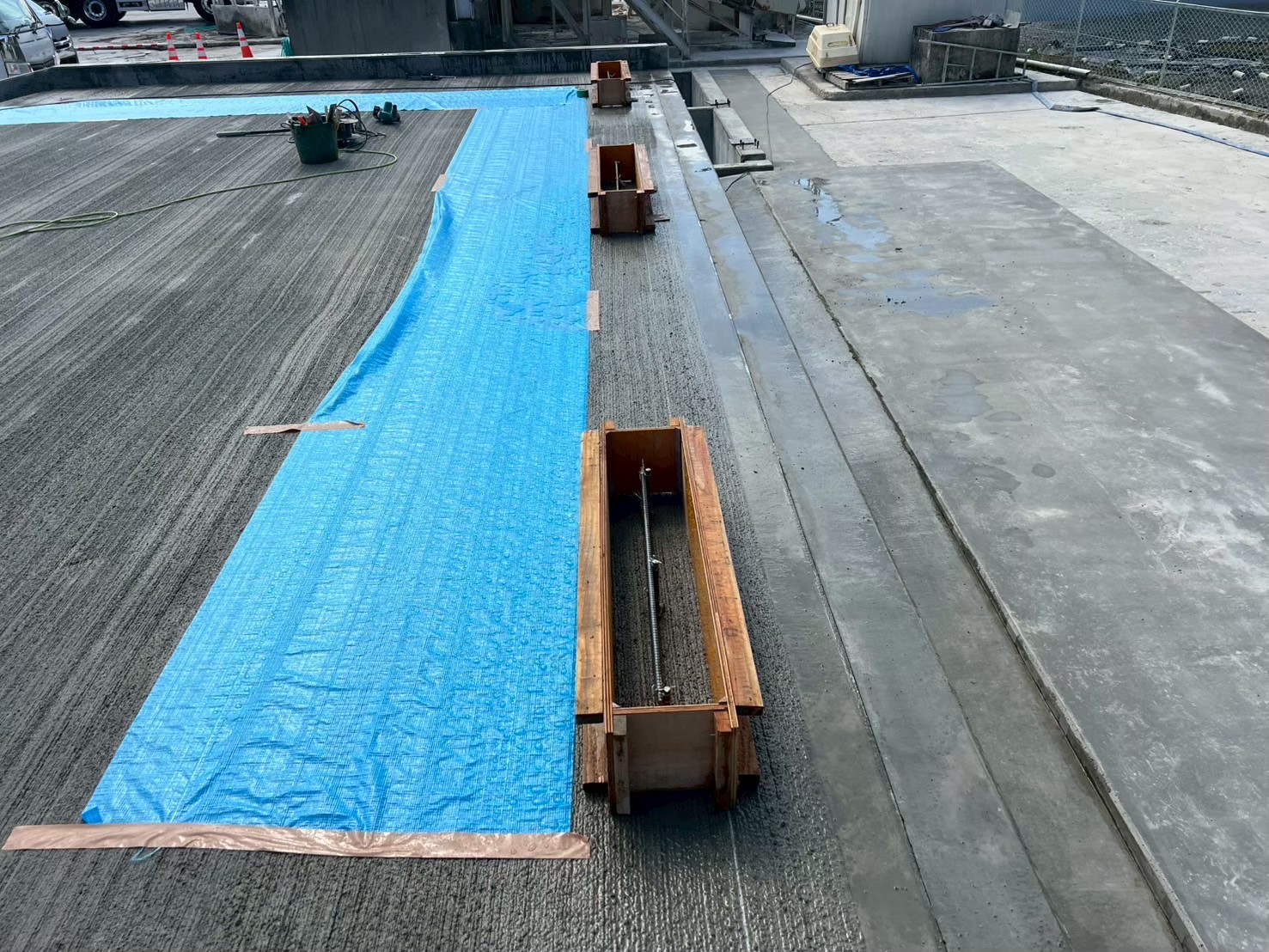 �������aqulle,������ЃA�N��,�G�N�X�e���A,�O��H��