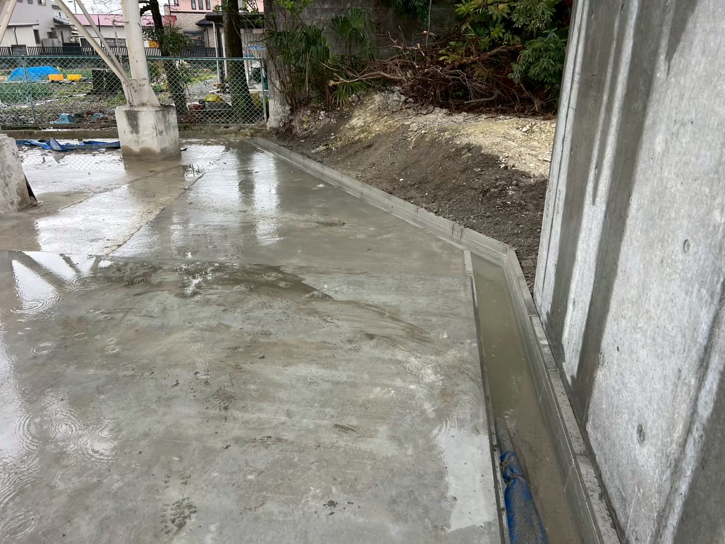 �������aqulle,������ЃA�N��,�G�N�X�e���A,�O��H��